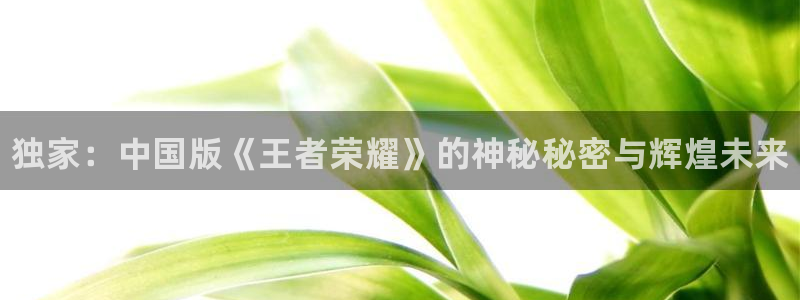 高德娱乐游戏：独家：中国版《王者荣耀》的神秘秘密与辉煌未来