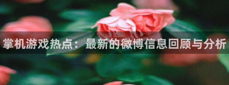 高德娱乐注册：掌机游戏热点：最新的微博信息回顾与分析