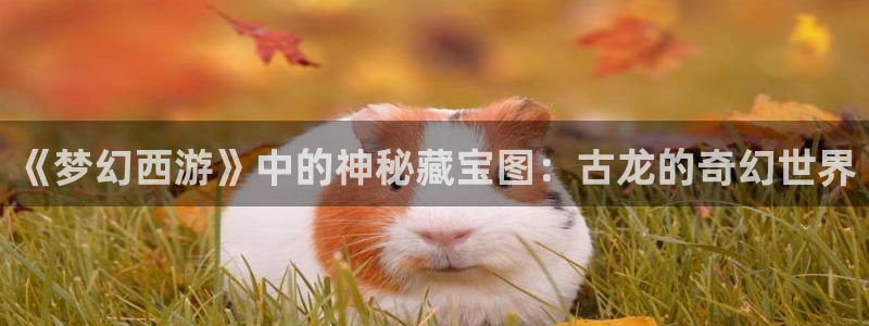 高德娱乐登陆：《梦幻西游》中的神秘藏宝图：古龙的奇幻世界