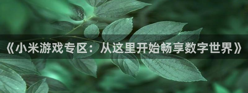 高德娱乐平台官网注册：《小米游戏专区：从这里开始畅享数字世界