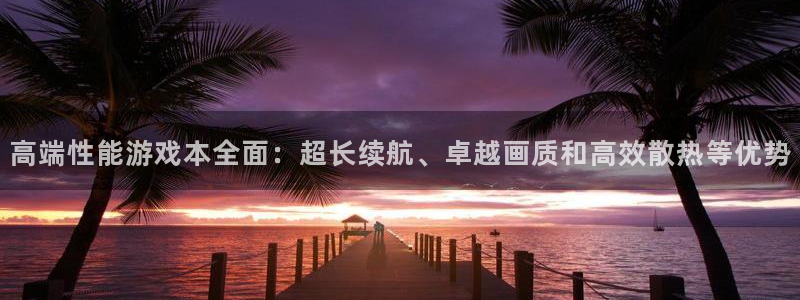 高德娱乐网址官网：高端性能游戏本全面：超长续航、卓越画质和高