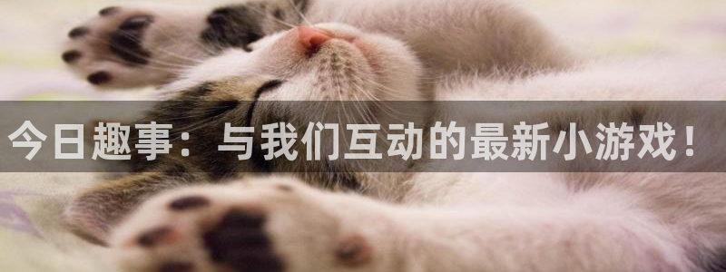 高德娱乐app下载地址：今日趣事：与我们互动的最新小游戏！