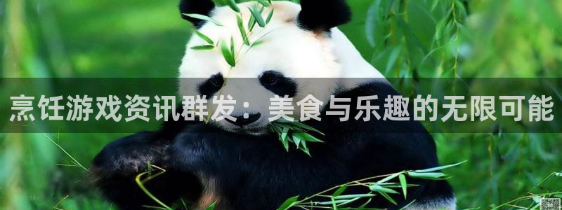 高德娱乐主管：烹饪游戏资讯群发：美食与乐趣的无限可能