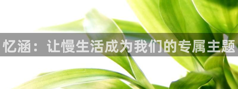 高德娱乐网址官网：忆涵：让慢生活成为我们的专属主题