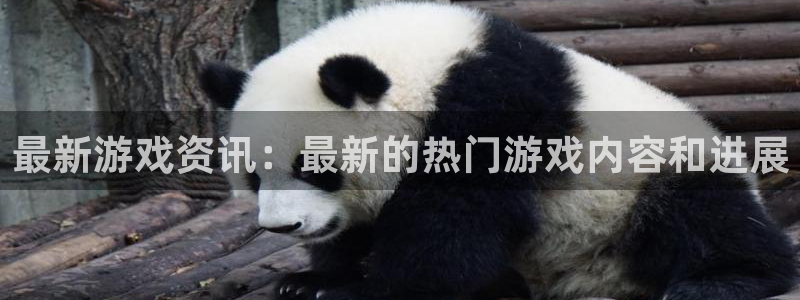 高德娱乐下载：最新游戏资讯：最新的热门游戏内容和进展