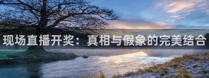 51视频在线直播nba：现场直播开奖：真相与假象的完美结合