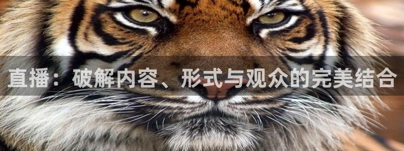 51视频在线直播nba