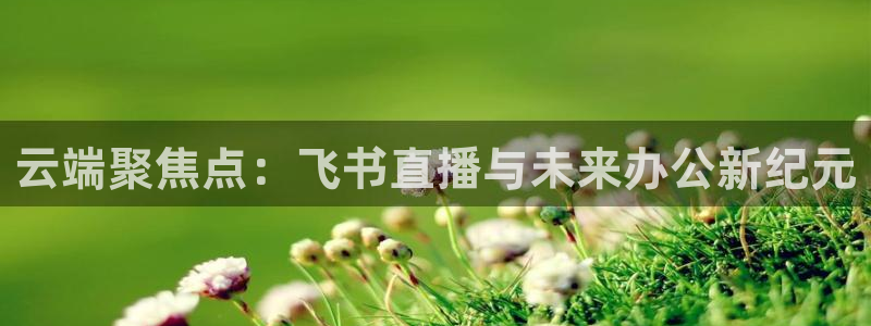 51视频在线直播nba：云端聚焦点：飞书直播与未来办公新纪元