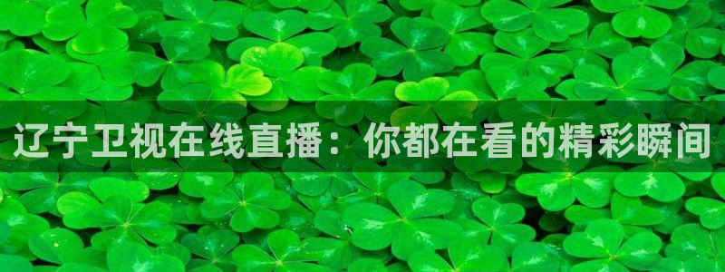 51视频在线直播nba：辽宁卫视在线直播：你都在看的精彩瞬间