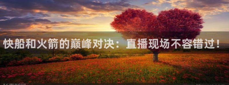 51视频在线直播nba：快船和火箭的巅峰对决：直播现场不容错过！