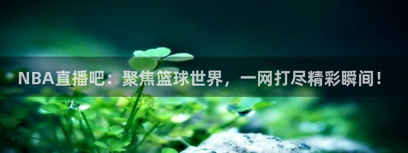 51视频在线直播nba：NBA直播吧：聚焦篮球世界，一网打尽精彩瞬间！