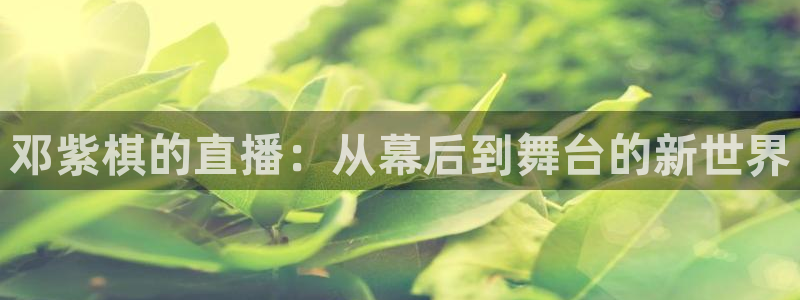 51视频在线直播nba：邓紫棋的直播：从幕后到舞台的新世界