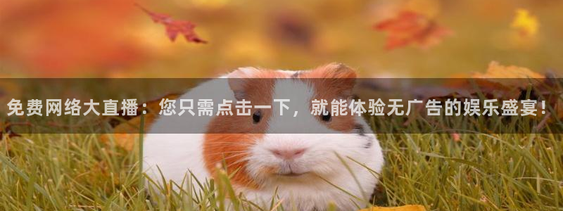 51视频在线直播nba：免费网络大直播：您只需点击一下，就能体验无广告的娱乐盛宴！