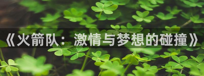 51视频在线直播nba：《火箭队：激情与梦想的碰撞》